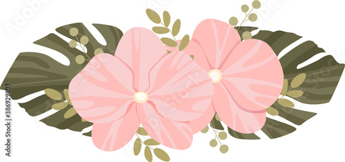 A composition of Orchid flowers, monstera leaves and various twigs. Vector illustration