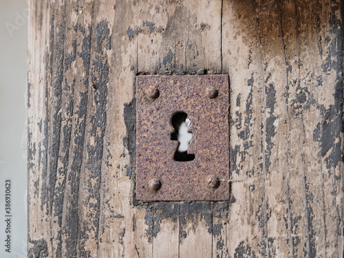 Weather damaged wooden door, old rusty lock. Detail, keyhole.