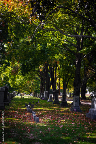 Old cemetery in fall