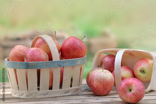 group of red apples in little basket on a wooden table in garden on green bac...