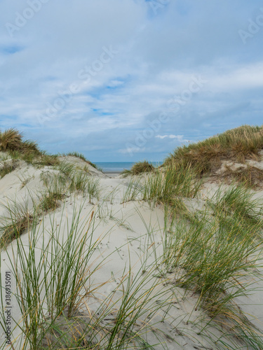 View over the dunes of Ameland, Holland