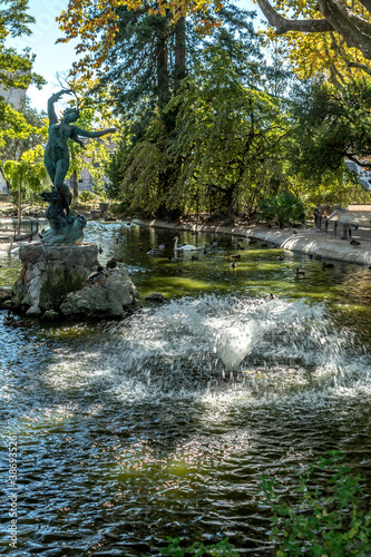 Bassin dans le parc du palais des papes à Avignon dans le Vaucluse