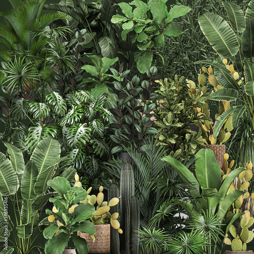 Wall of ornamental plants vertical garden