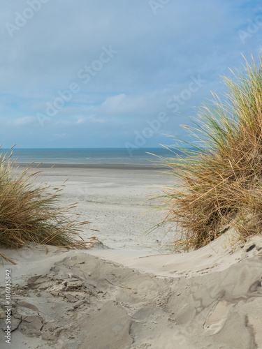 Fototapeta Naklejka Na Ścianę i Meble -  View over the dunes of Ameland, Holland