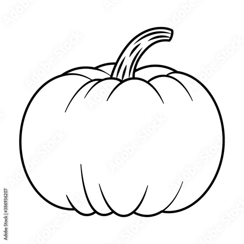pumpkin autumn fruit seasonal icon
