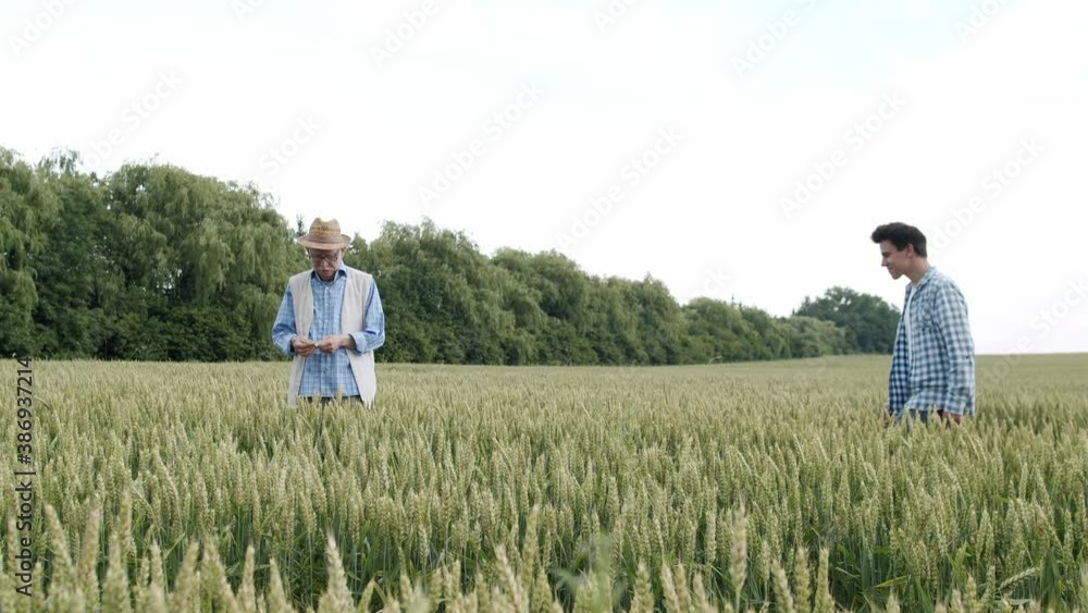 Two farmers of different ages meet, handshake and have talk in green wheat field Two farmers of different ages meet, handshake and have talk in green wheat field