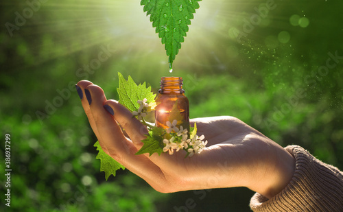 Schilderij op canvas Natural medicine - herbal