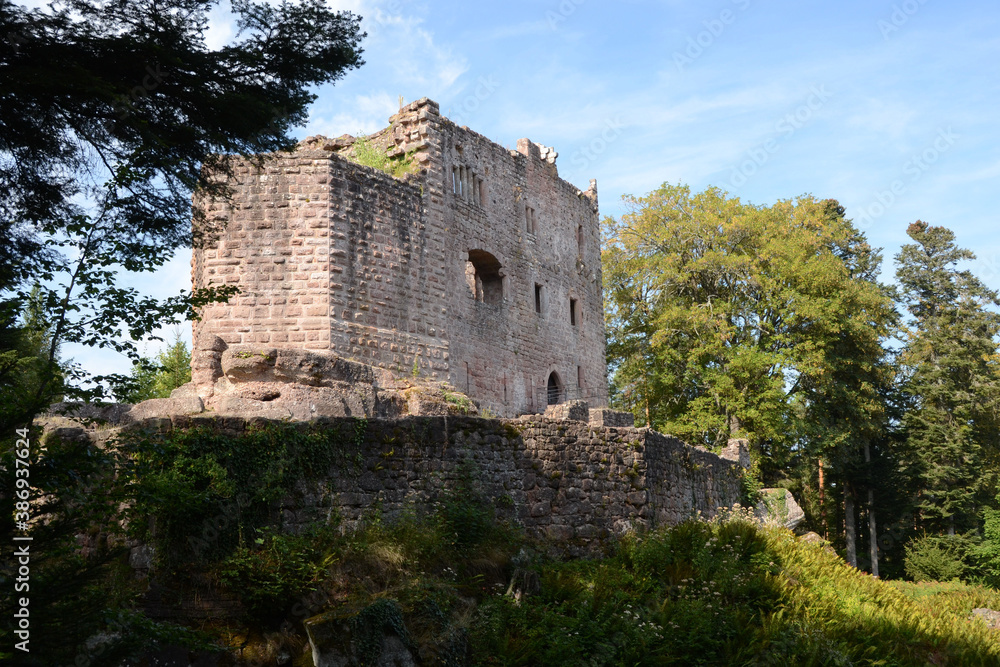 Château en ruine, Château du Birkenfels près de Barr en Alsace, France Château en ruine, Château du Birkenfels près de Barr en Alsace, France