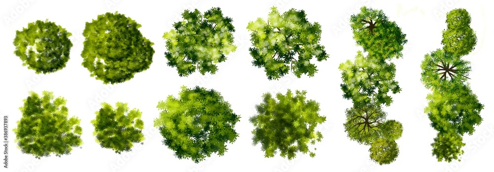 Collection of abstract watercolor green tree top view isolated on white background for landscape plan and architecture layout drawing, elements for environment and garden. Collection of abstract watercolor green tree top view isolated on white background for landscape plan and architecture layout drawing, elements for environment and garden.