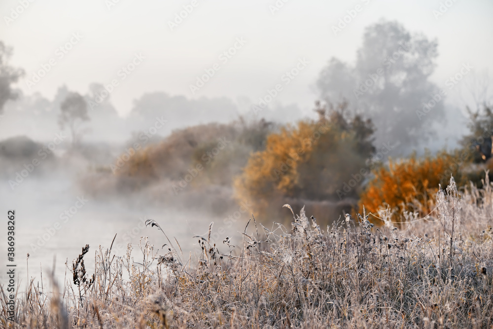 Foggy autumn morning by the river. grass covered with hoarfrost and cobwebs on the shore. soft selection focus. - obrazy, fototapety, plakaty 