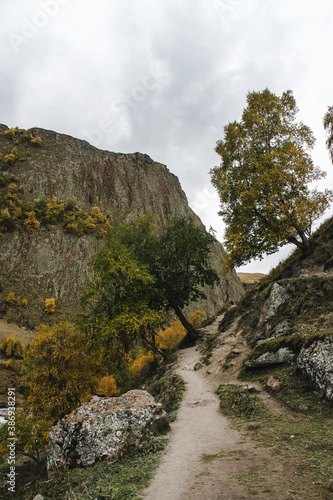 landscape in the mountains