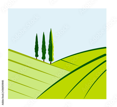 vineyard vector illustration rural landscape