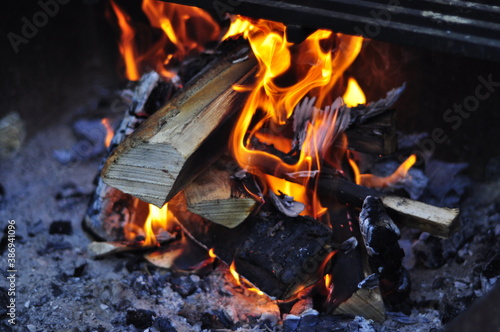 Summer campfire firepit burning logs camping