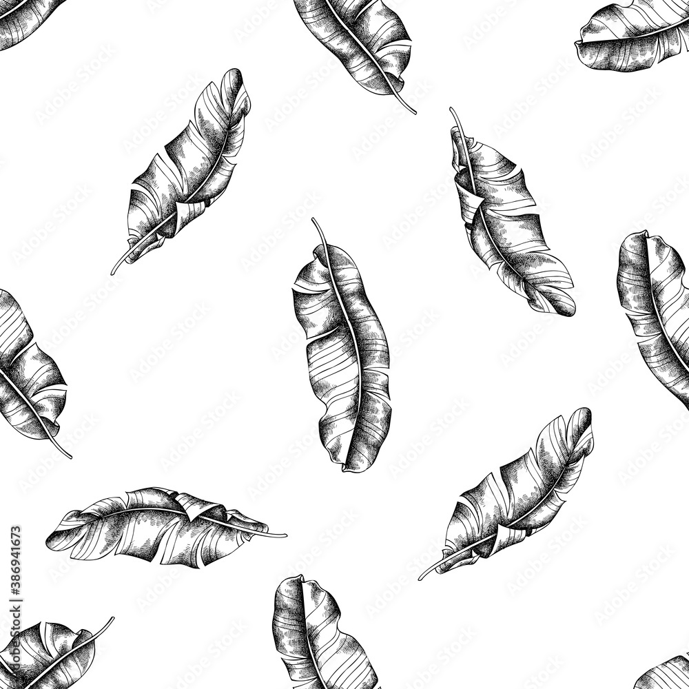 Seamless pattern with black and white banana palm leaves Seamless pattern with black and white banana palm leaves
