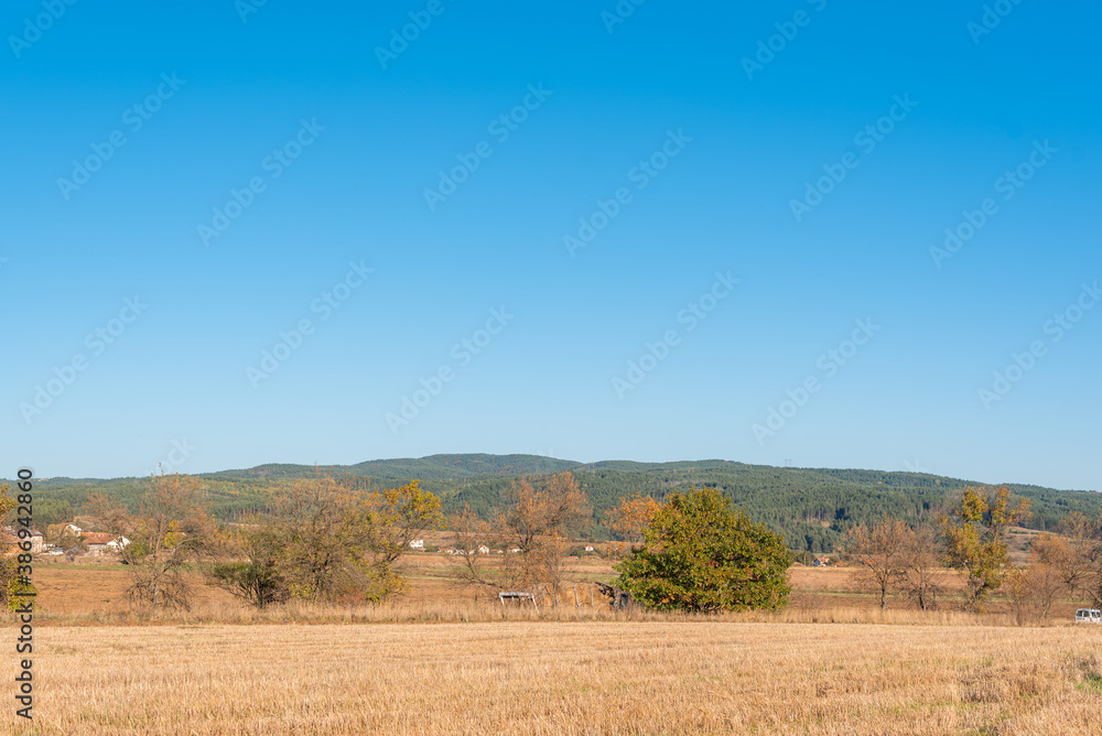 Hay bail truck crossing near dry hay field clear cut path warm color bulgaria rural landscape sun day clear blue sky