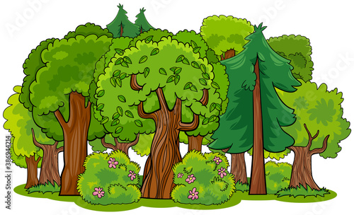 mixed forest with trees cartoon illustration