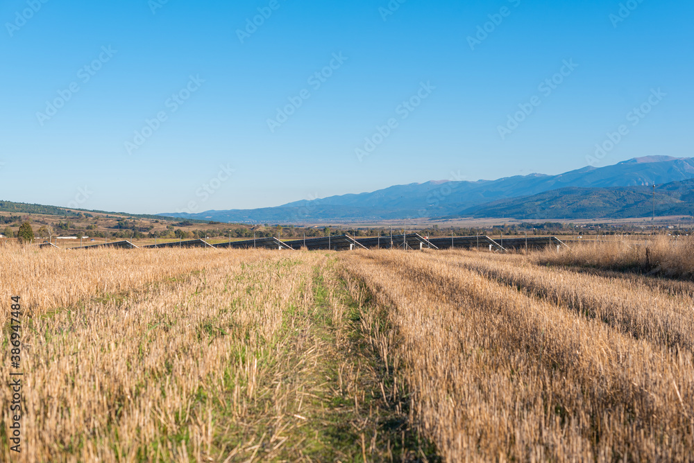 Person view yellow agricultural fields harvest next to solar panel station picturesque countryside rural area bulgaria mountains tech sheaves bails of hay scattered on field