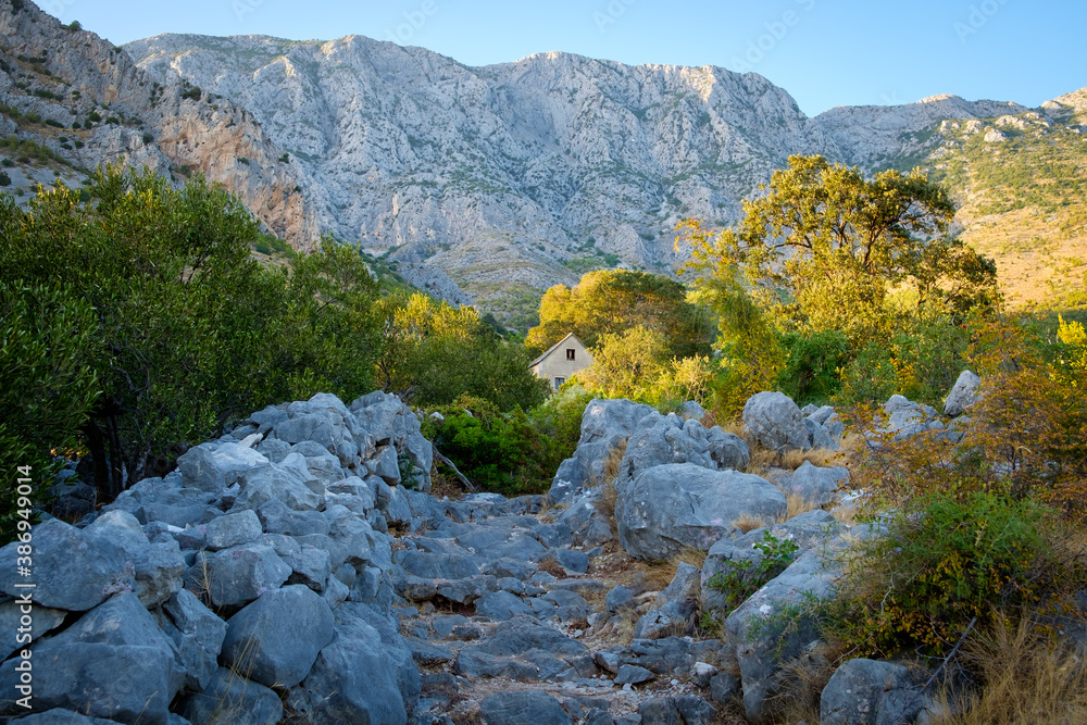autumn colors in mountains, yellow trees and blue sky, croatia, zivogosce autumn colors in mountains, yellow trees and blue sky, croatia, zivogosce