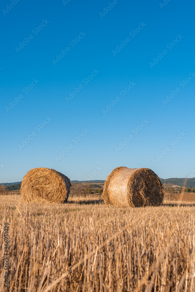 Hay straw field golden close-up beautiful summer rural sun landscape bulgaria perspective creative