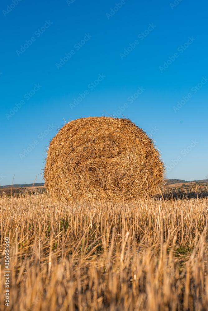 Hay straw field golden close-up beautiful summer rural sun landscape bulgaria perspective creative Hay straw field golden close-up beautiful summer rural sun landscape bulgaria perspective creative