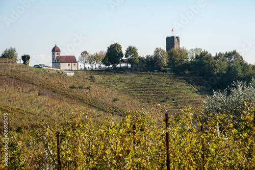Photos vigneti nelle colline di Gattinara