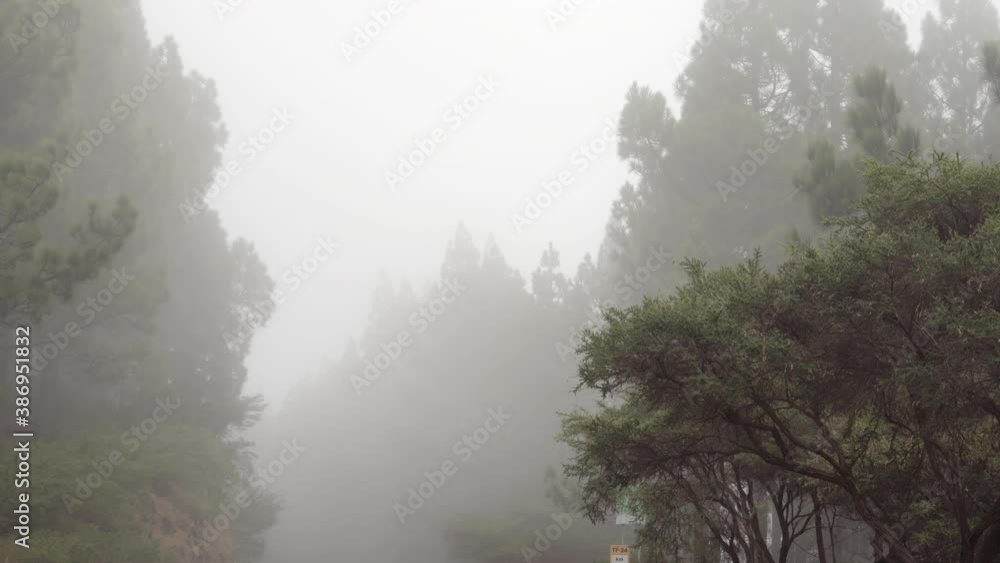 Fogs all around the mountain road in Tenerife Spain Fogs all around the mountain road in Tenerife Spain