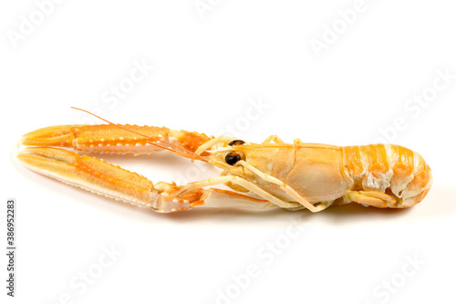 langoustine cuite isolé sur un fond blanc photo