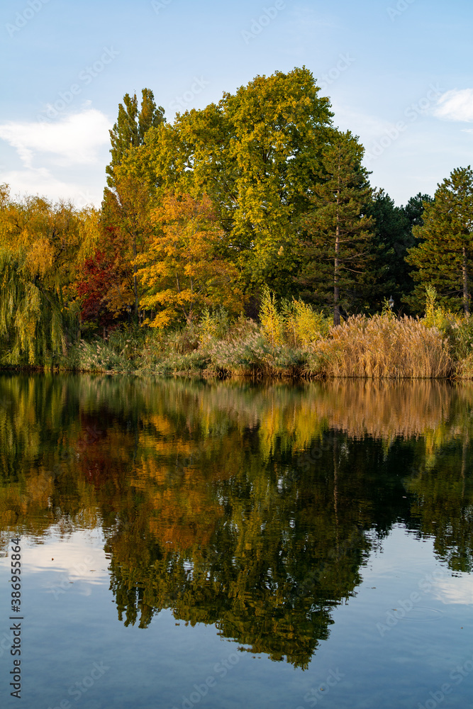 Reflection of autumn trees with multi-colored foliage in the calm waters of the lake Reflection of autumn trees with multi-colored foliage in the calm waters of the lake