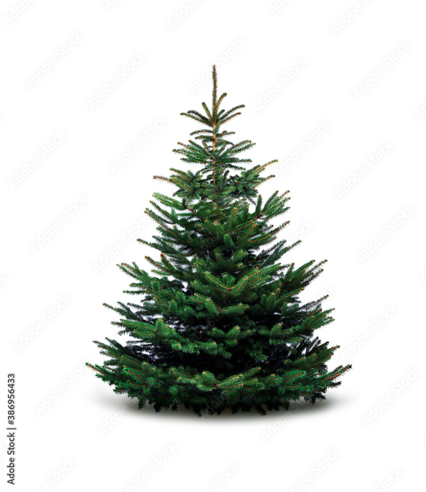 Fototapeta premium Grüner Weihnachtsbaum auf weißem Hintergrund