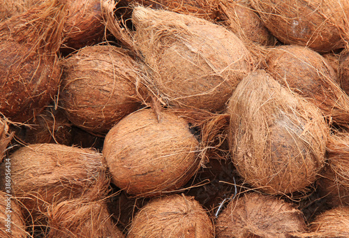 A Selection of Coconut Husks as a Background Display.