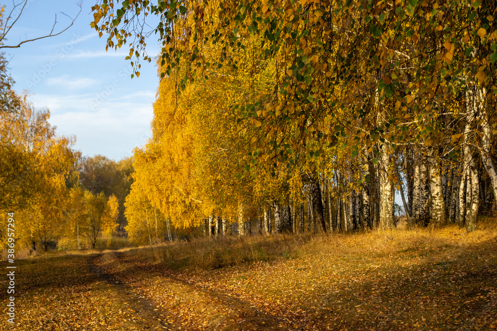 autumn road near the lake