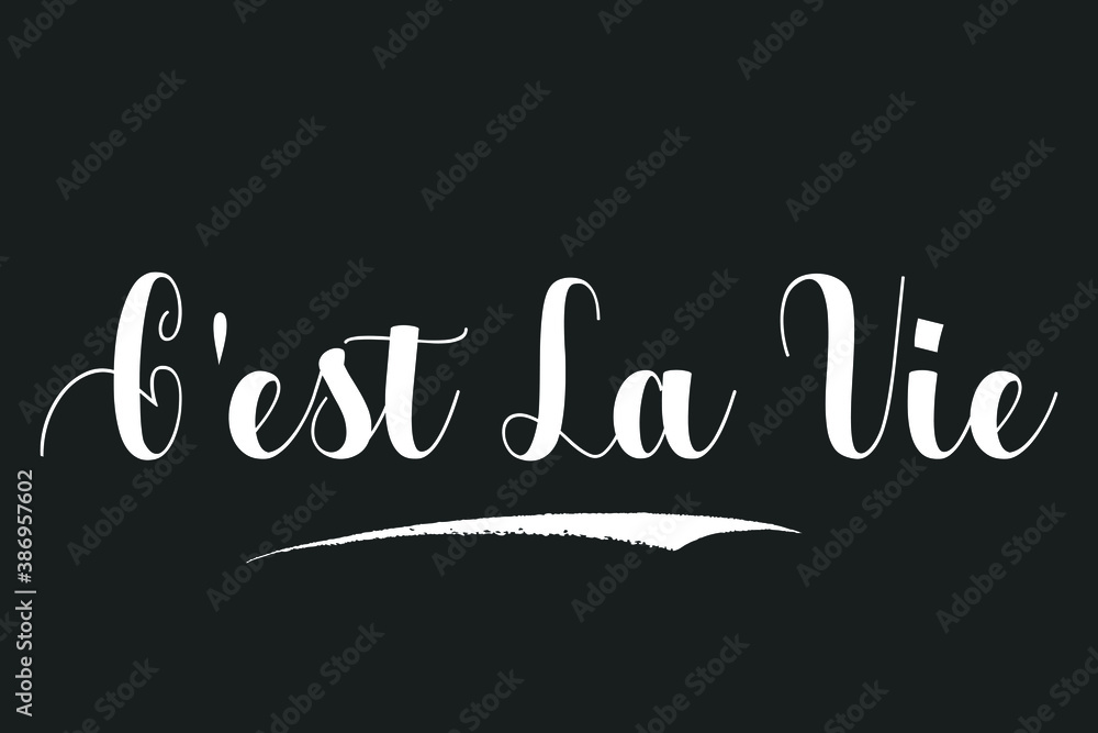 C'est La Vie Bold Calligraphy White Color Text On Dork Grey Background C'est La Vie Bold Calligraphy White Color Text On Dork Grey Background