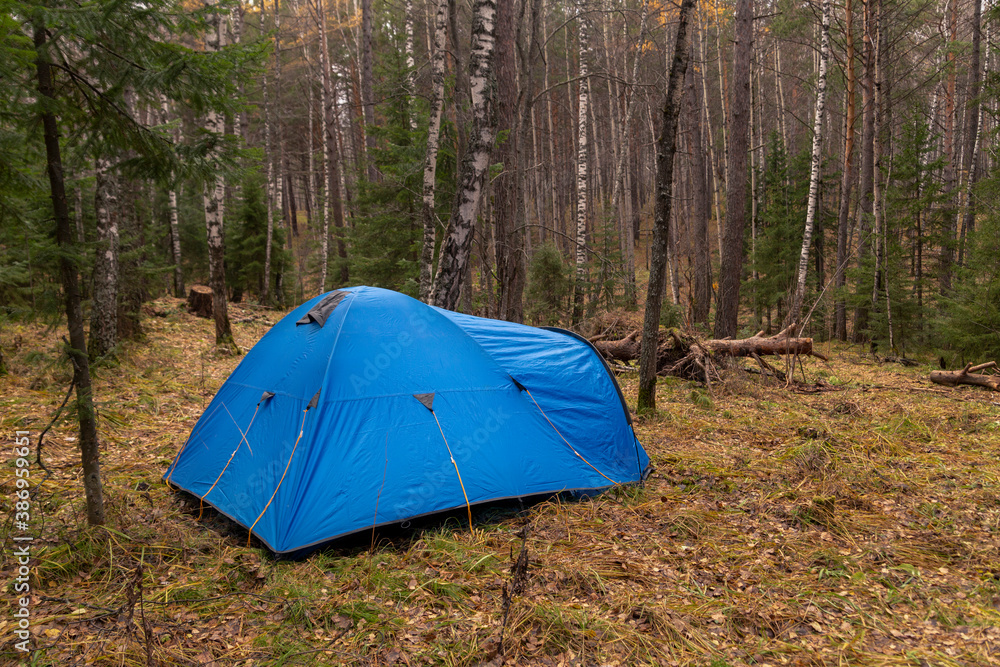 A blue tourist tent stands in a clearing among the autumn forest. Tourism, active lifestyle.