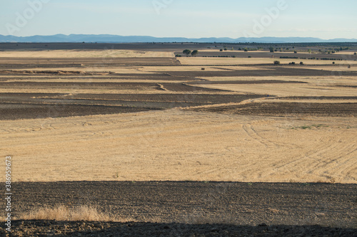 field dedicated to agriculture in summer in the province of Toledo. Spain
