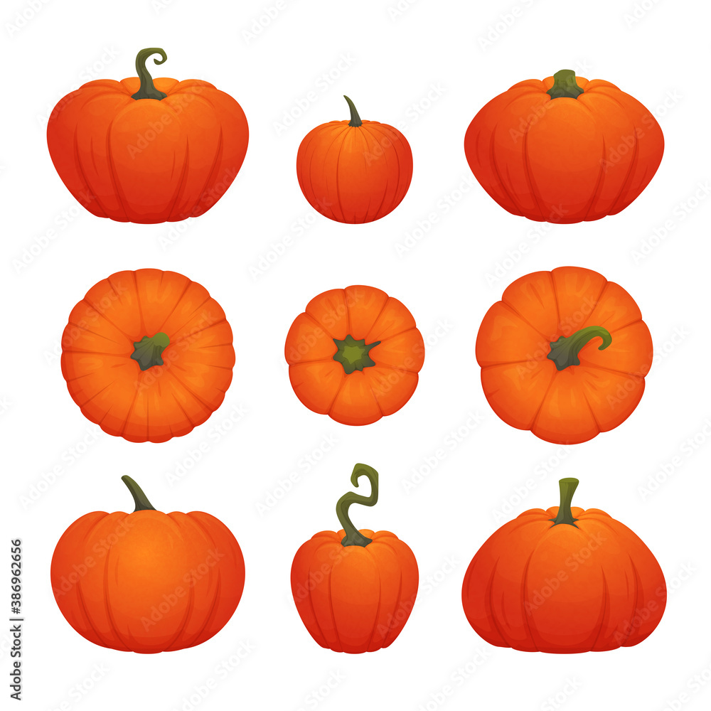 Set of ripe orange pumpkins of various shapes isolated on a white background. Halloween or Thanksgiving icon, decoration. Vector illustration.