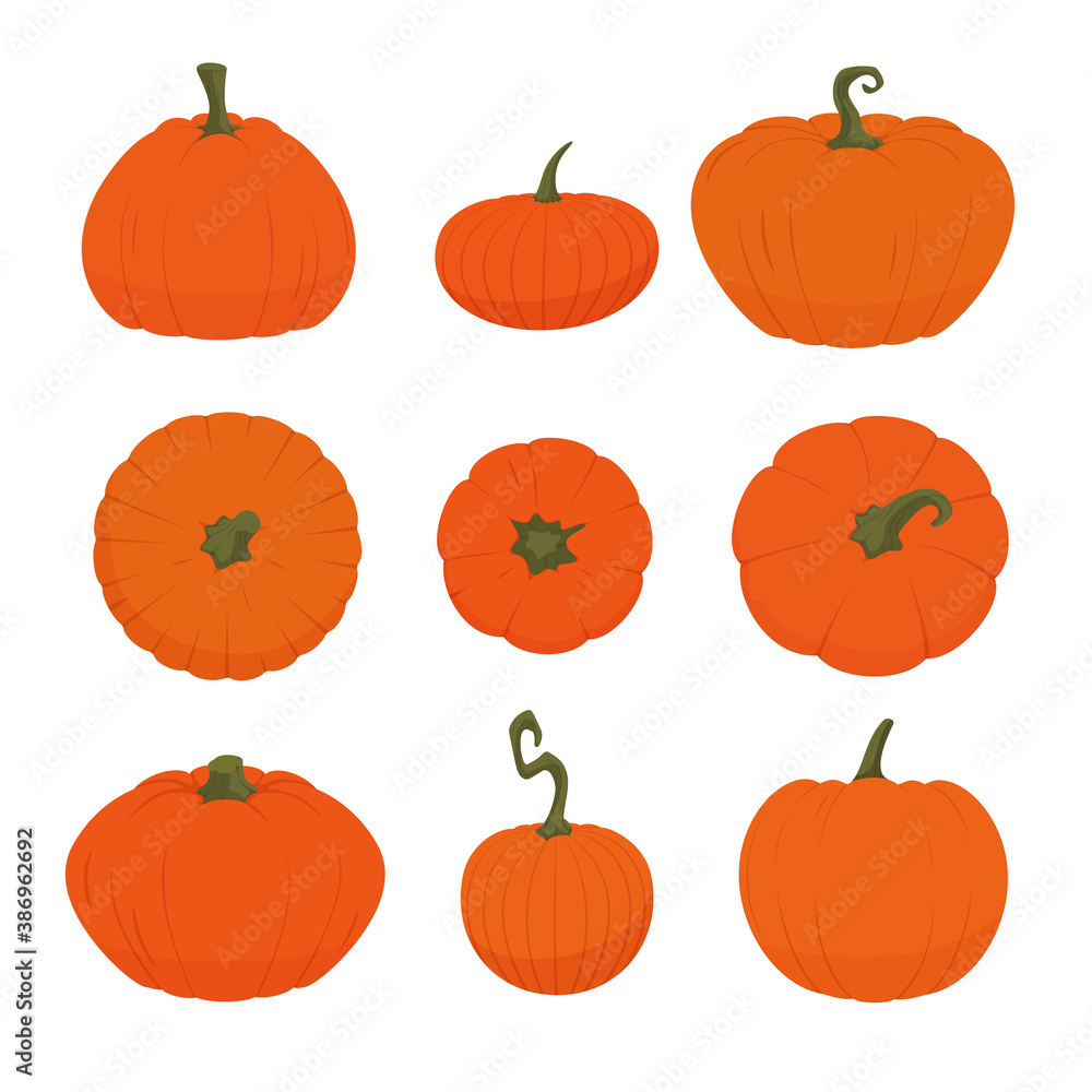 Set of ripe orange pumpkins of various shapes isolated on a white background. Halloween or Thanksgiving icon, decoration. Vector illustration. Set of ripe orange pumpkins of various shapes isolated on a white background. Halloween or Thanksgiving icon, decoration. Vector illustration.