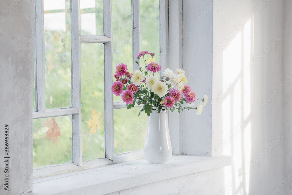 Fototapeta premium chrysanthemums in vase on windowsill in autumn