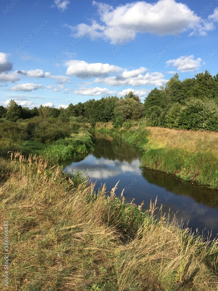 Fototapeta premium lake in the forest