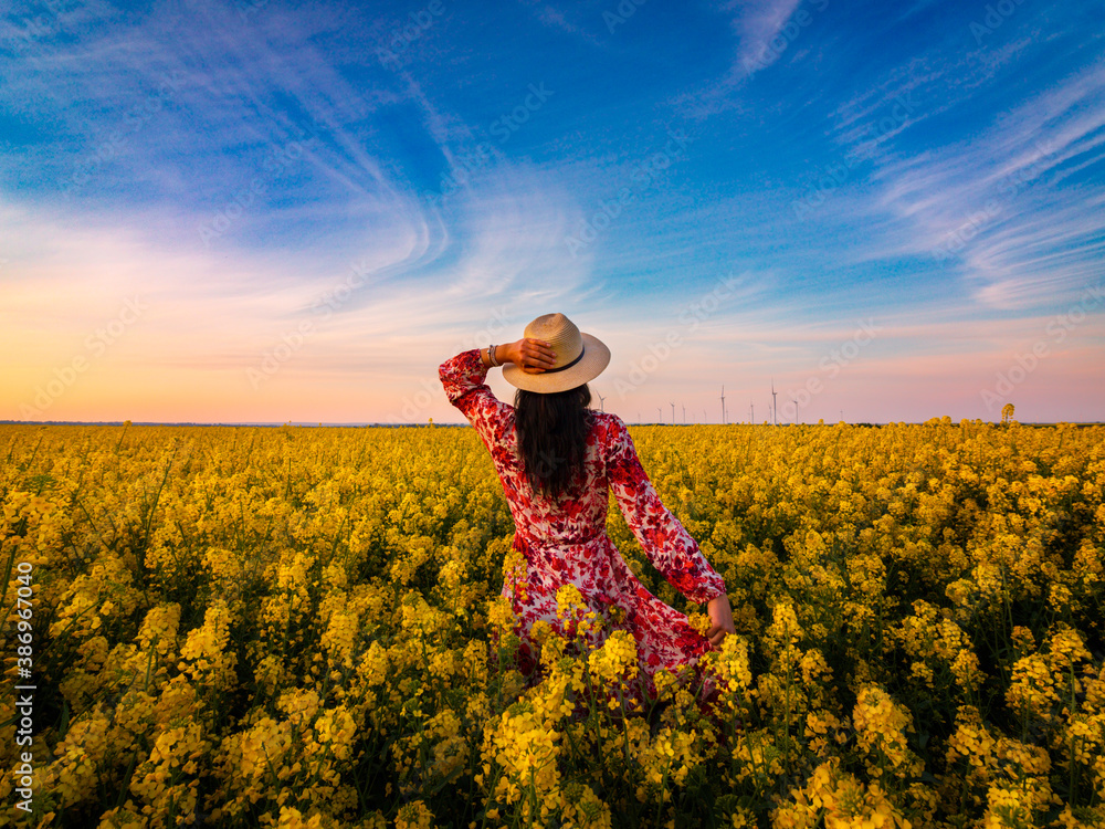 Back view young women with long hair and hat on head standing with open arms in field full of yellow flowers - obrazy, fototapety, plakaty 