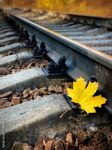 Single rail as part of a railway. Autumn yellow maple leaf on the rails.