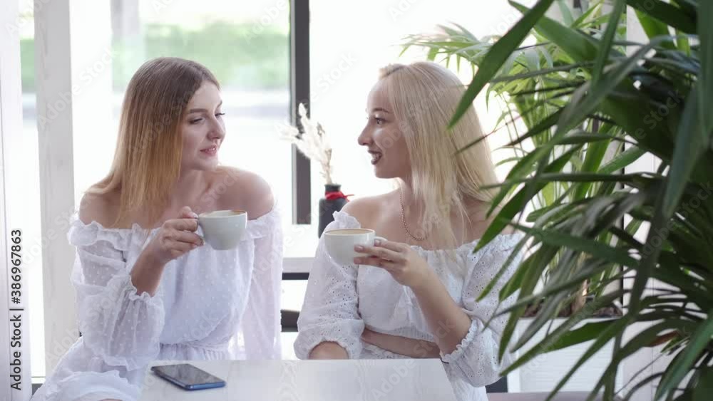 Two ladies are sitting in a cafe. The are chatting and drinking delicious fresh coffee. Two ladies are sitting in a cafe. The are chatting and drinking delicious fresh coffee.