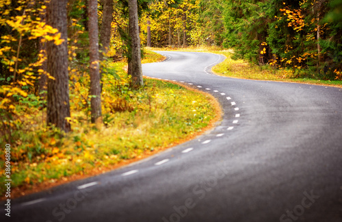 Asphalt road with beautiful trees on the sides in autumn