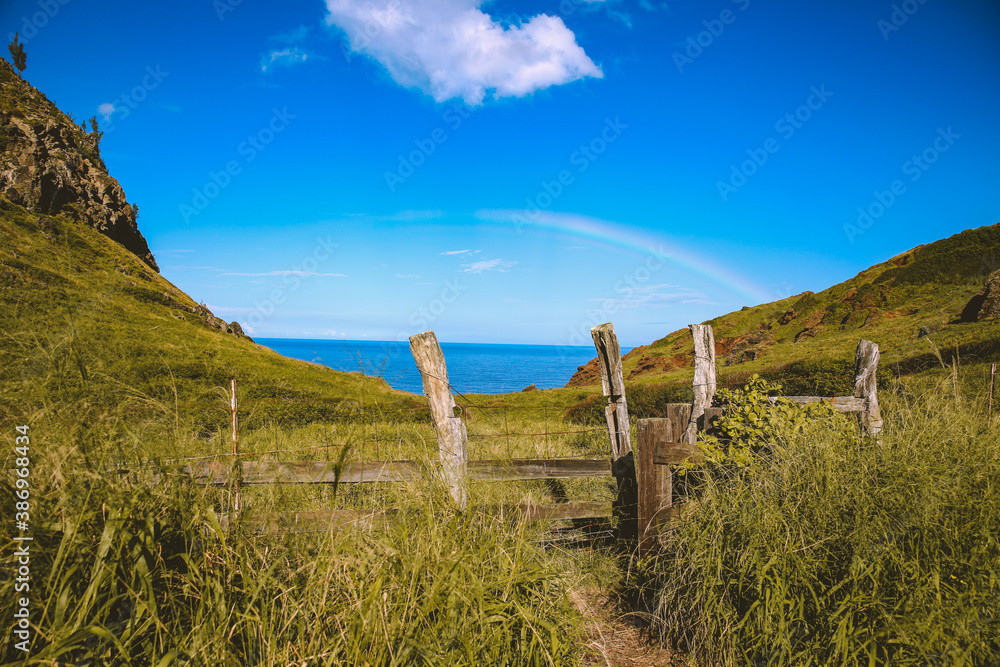 Rainbow on the seaside pasture, Kahekili Highway, West Maui, Hawaii