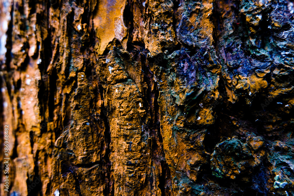 texture texture