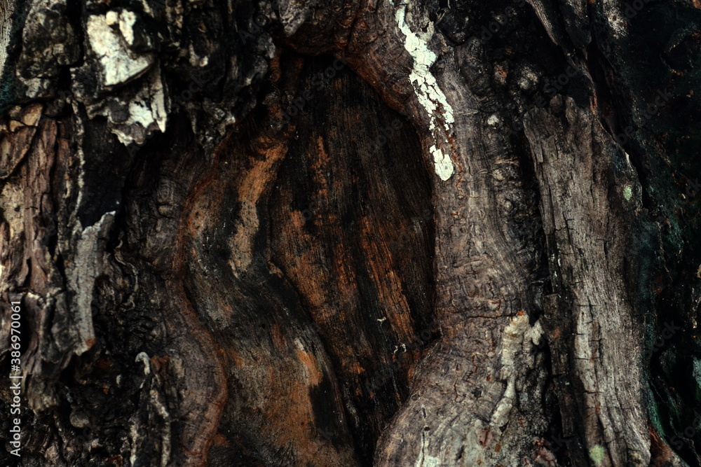 clear and beautiful looking wood grain pattern clear and beautiful looking wood grain pattern