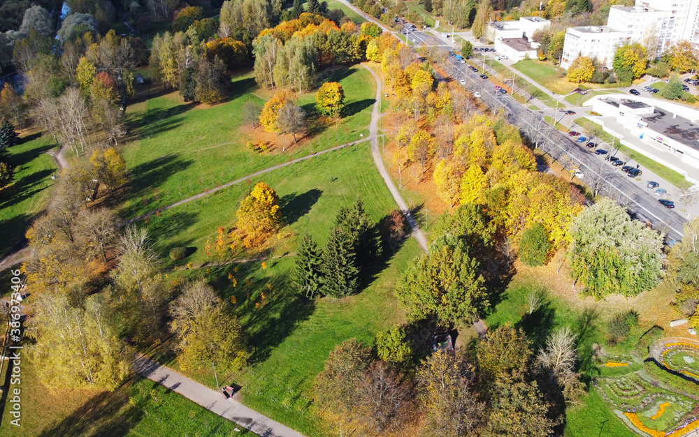 Top view of autumn city european park with yellow and green trees