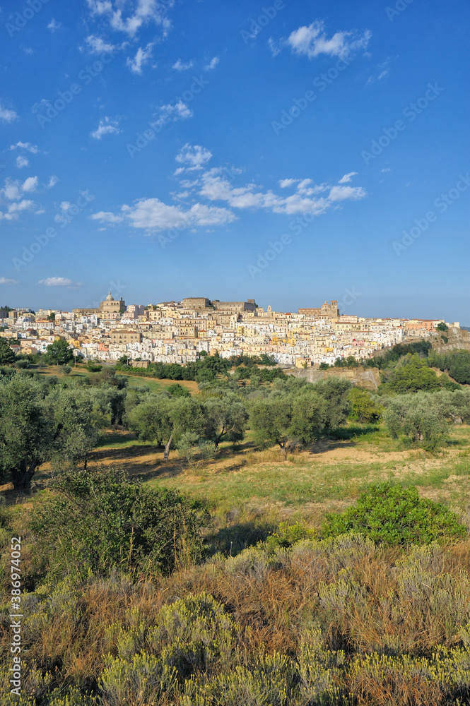 View of the town of Ferrandina, in the foreground trees of olives Majatica, district of Matera, Basilicata, Italy, Europe
