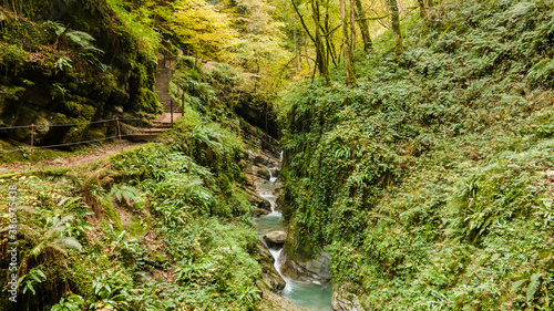 Les Gorges du Chauderon, Montreux, Switzerland. photo