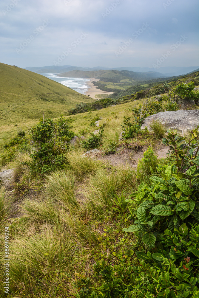 Naklejka premium prati