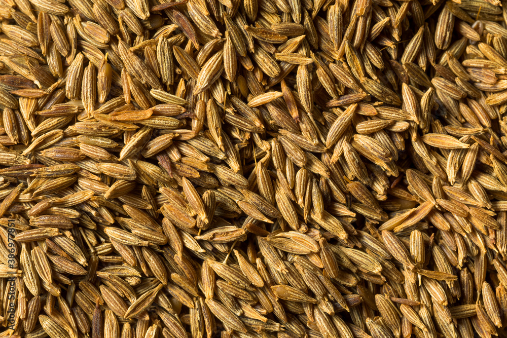 Raw Brown Organic Cumin Seed Raw Brown Organic Cumin Seed